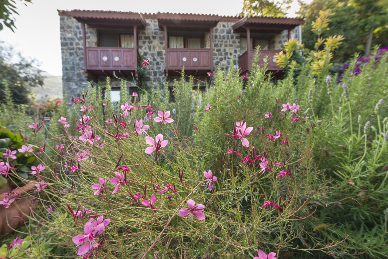 Bed and Breakfast Karaburun Bahce Zewnętrze zdjęcie